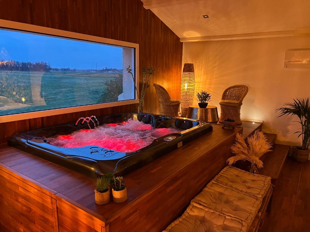 La Belle Marcelle - Chambre d hôtes avec jacuzzi