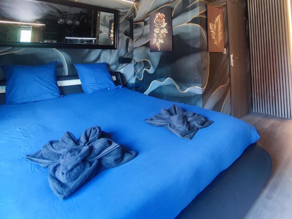 R luxury piscine et spa privatifs